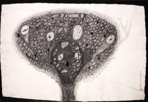 ruchika-wason-singh-_womb-bloom_-pencil-on-paper-2004-m-4cm